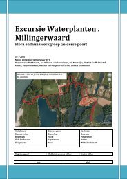 Excursie Waterplanten . Millingerwaard - Flora- en Faunawerkgroep ...