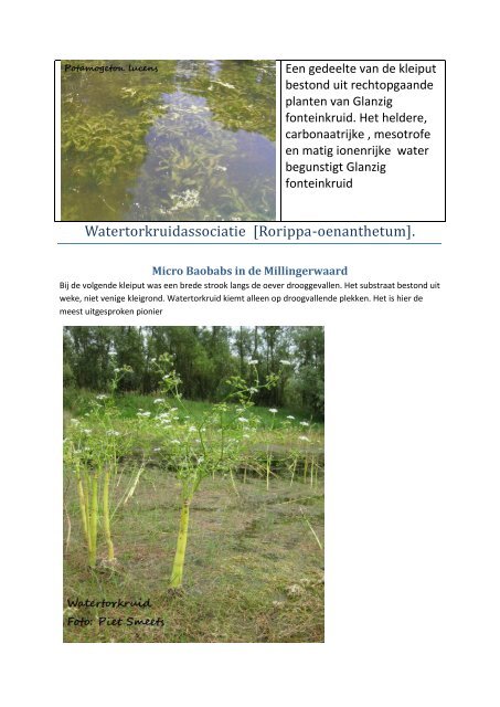 Excursie Waterplanten . Millingerwaard - Flora- en Faunawerkgroep ...