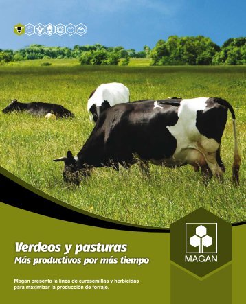 Verdeos y pasturas - magan