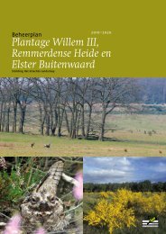 Plantage Willem III, Remmerdense Heide en Elster Buitenwaard