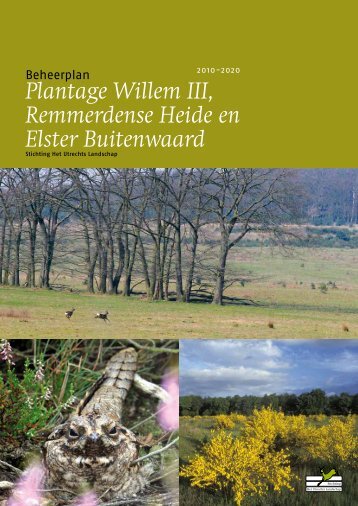 Plantage Willem III, Remmerdense Heide en Elster Buitenwaard
