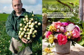 Pioenrozen lopen bij kwekerij Warmerdam Paeonia als een rode ...