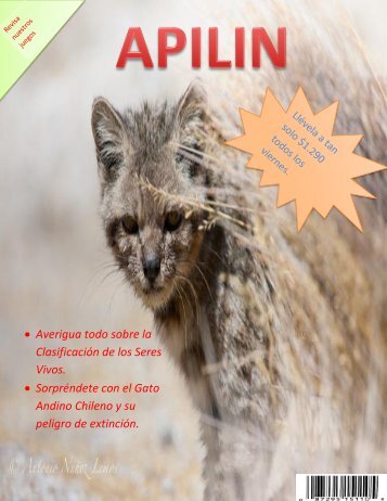 Revista Apilin.pdf