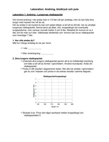 Laboration Andning, blodtryck, puls.pdf