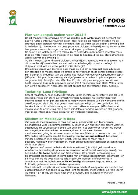 Nieuwsbrief roos - Van Iperen