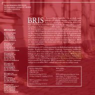 BRIS-rapporten 2008