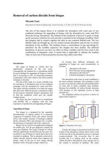 Separation of carbon dioxide from biogas - Department of Chemical ...