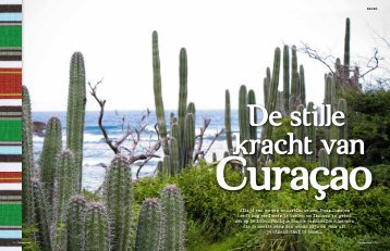 De Stille Kracht van Curacao - Happy Soul Travel