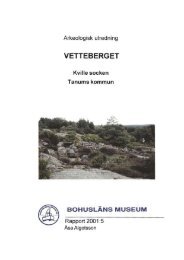 VETTEBERGET