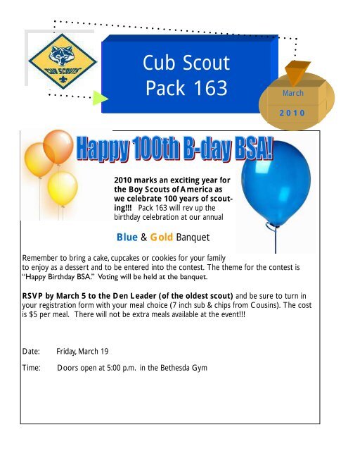 Cub Scout Pack 163