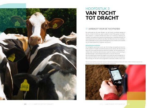 Van tocHt tot dracHt - CRV