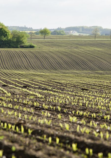 Hent vores samlede gødningsbrochure her. - Danish Agro