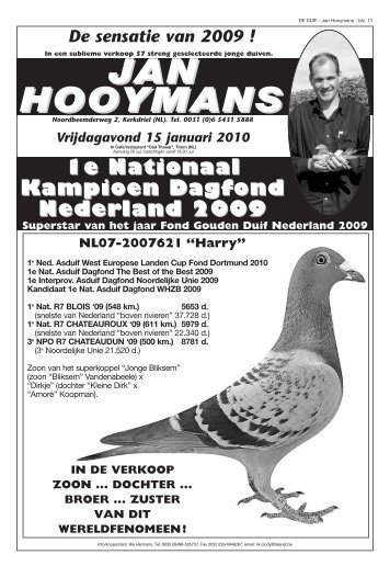 Verkoop Duiven - Hooymans Duivensport