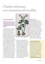 Planten tekenen, een eeuwenoude traditie - Stichting Oase
