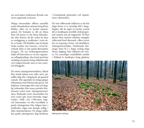 KMV program 2012 01 25 -A4.pdf - Falkenbergs kommun