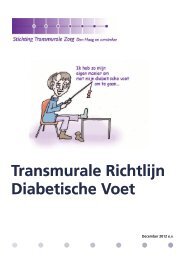 richtlijn diabetische voet b - Stichting Transmurale Zorg Den Haag ...