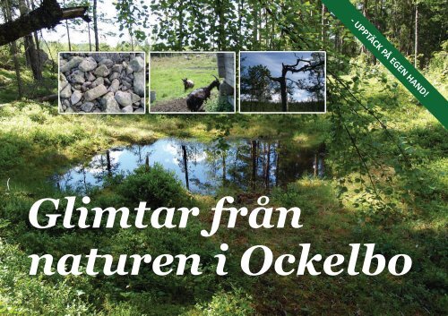 Glimtar från naturen i Ockelbo