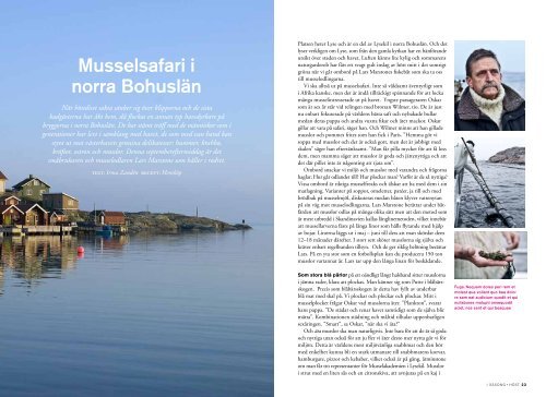 Musselsafari i norra Bohuslän