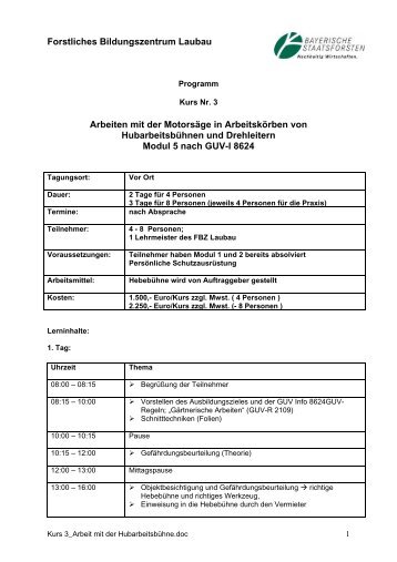 Arbeiten mit der Motorsäge in Arbeitskörben von Hubarbeitsbühnen