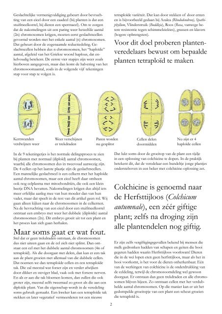 Chromosoomverdubbeling - Arboretum Oudenbosch