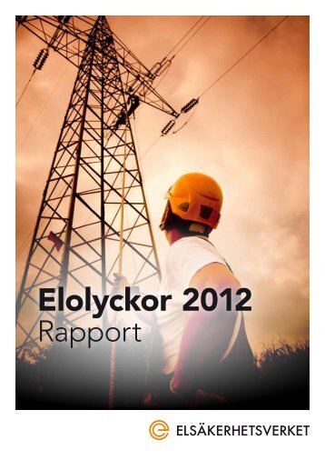 Rapport elolyckor 2012 - Elsäkerhetsverket