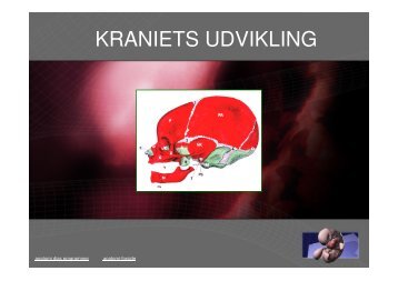 KRANIETS UDVIKLING