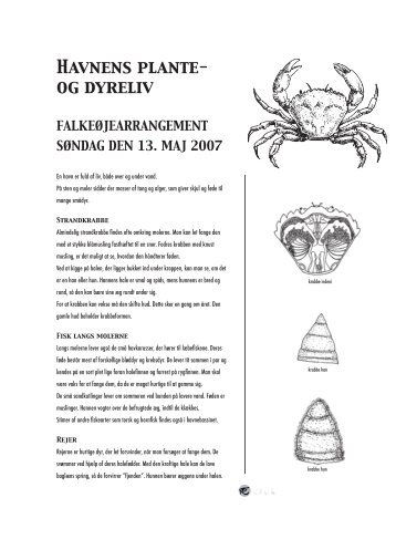 Havnens plante- og dyreliv - Naturhistorisk Museum