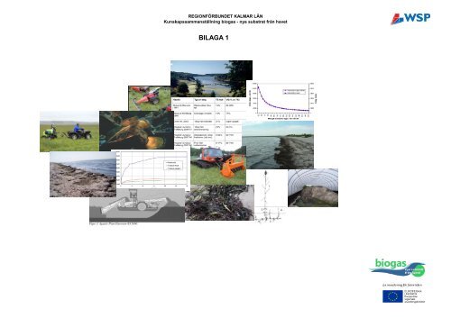 en förstudie, bilaga 1.pdf - Regionförbundet i Kalmar län