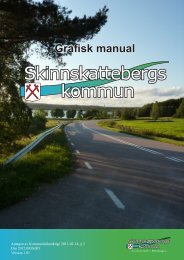 Grafisk manual för Skinnskattebergs kommun