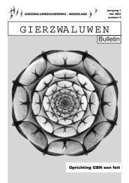 Gierzwaluwen-bulletin 2002-1 - GierzwaluwBescherming Nederland