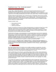 Projektbeskrivning för ”Sex – himmel eller helvete?!” Mars 2008