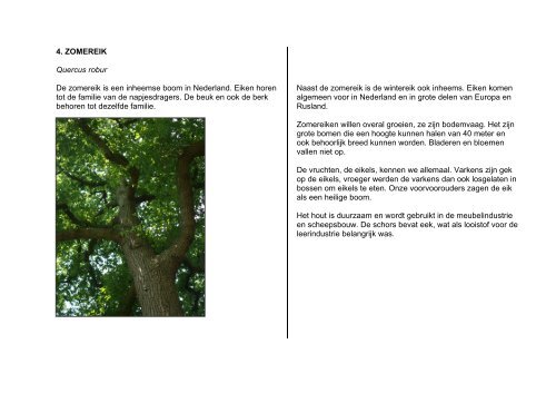 Bomenroute 2012.pdf - Gemeente Purmerend