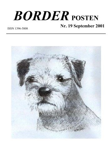 Nr. 19 September 2001 - Border terriers i DTK