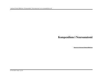 Kompendium i Neuroanatomi - Ronni Mikkelsen hjemmeside