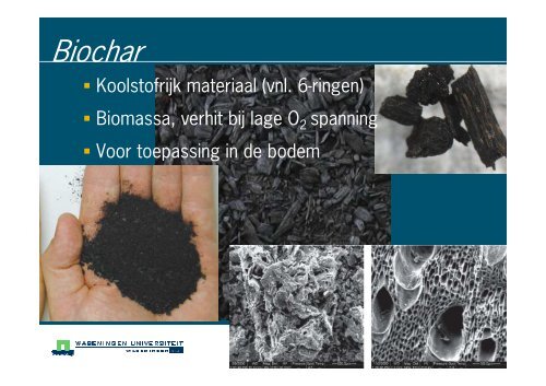 Biochar: één oplossing voor de energie-, klimaat- en voedselcrisis?