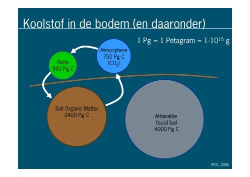 Biochar: één oplossing voor de energie-, klimaat- en voedselcrisis?