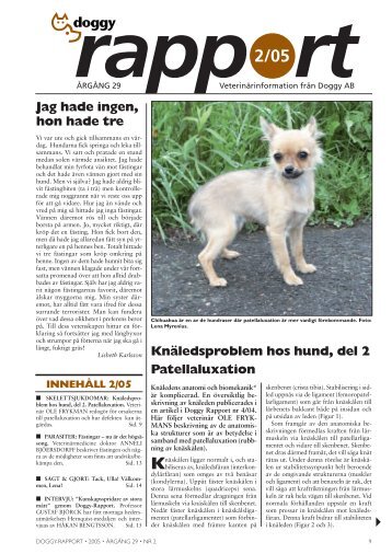 Doggy Rapport nr 2