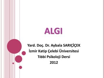 Algı - İzmir Katip Çelebi Üniversitesi