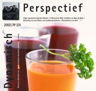 Dynamisch Perspectief 2002 - BD-Vereniging