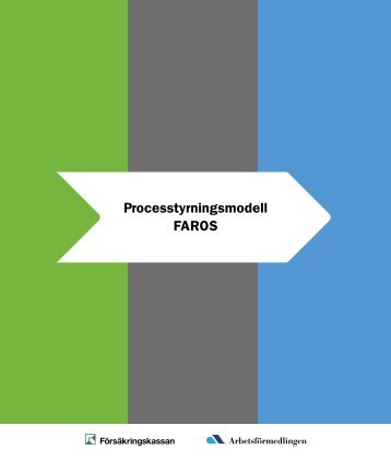 Processtyrningsmodell FAROS (pdf, nytt fönster)