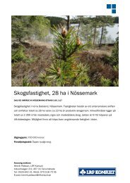 Skogsfastighet, 28 ha i Nössemark - LRF Konsult