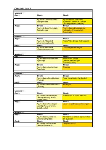 PDF overzicht van het programma van Jaar 1