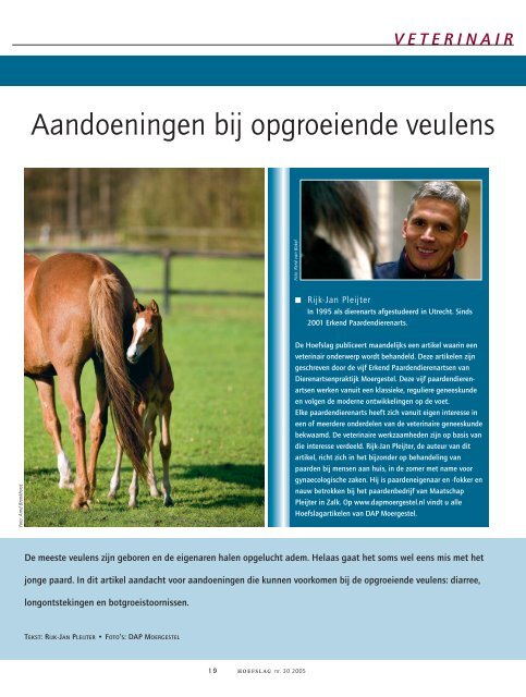 Aandoeningen bij opgroeiende veulens - Dierenartsenpraktijk ...