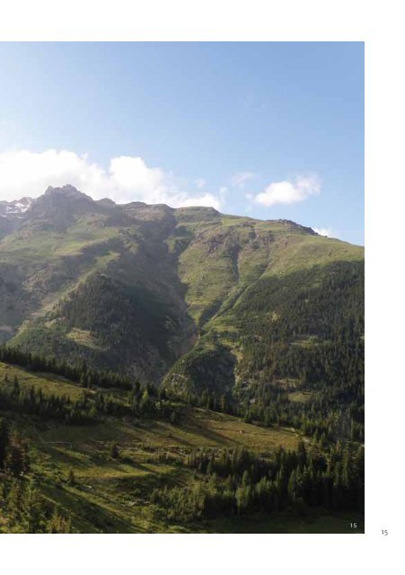 Kaçkar Dağları Sürdürülebilir Orman Kullanımı ve Koruma Projesi