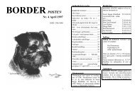 BORDER POSTEN - Border terriers i DTK