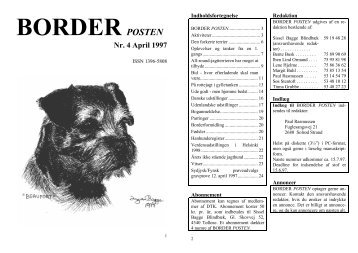 BORDER POSTEN - Border terriers i DTK