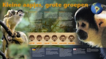 Lees meer... - GaiaZOO