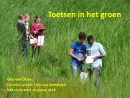 W32 Toetsen in groen