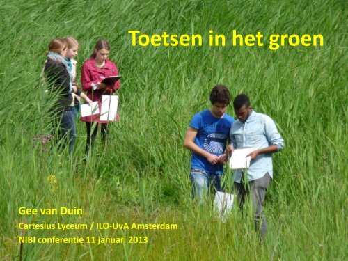 W32 Toetsen in groen