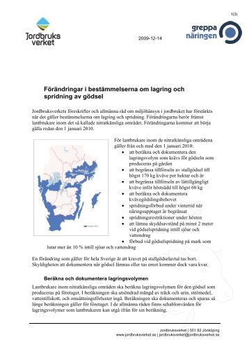 pdf-fil